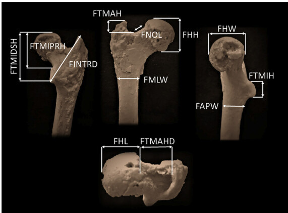 Foarte interesante amănunte...