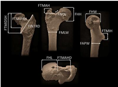 Foarte interesante amănunte...