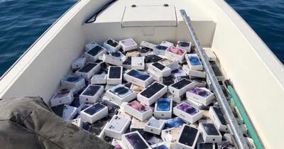 Captură neașteptată în Strâmtoarea Ormuz: pescarii adună din apă iPhone-uri și parfumuri