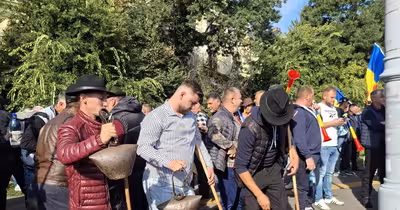Conflict deschis între MAI și oieri: fermierii acuză că problemele nu sunt rezolvate și cer demisii la ANSVSA