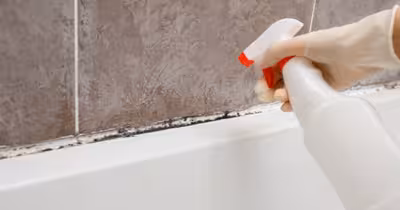 Cum eviți mucegaiul periculos într-o baie lipsită de aerisire naturală