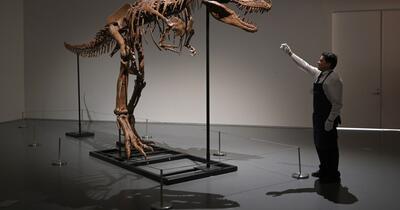 De ce avea T-Rex brațe atât de mici? Cercetătorii cred că au găsit explicația și este mai simplă decât crezi