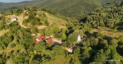 Cuvântul „pretschin”, simbol al integrării coloniștilor germani în Banatul Montan