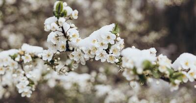 Vreme mai rece de Paște, apoi temperaturi în creștere până de 1 Mai. Prognoza pentru următoarele patru săptămâni