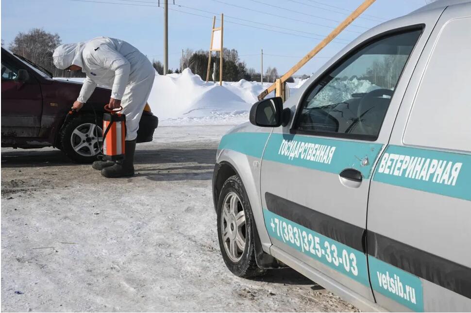 Ce se întâmplă?/În Rusia, statul omoară animalele fermierilor din cauza unei boli misterioase pe care refuză să o numească
