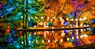 Bilete epuizate la Lumina Park în București: 15.000 de vizitatori în trei zile