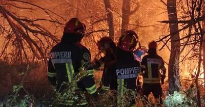 Incendiile din Franța: Macron mulțumește în română pompierilor trimiși de România