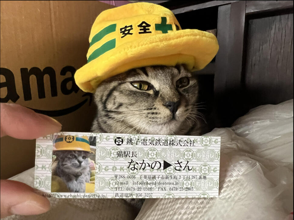 O pisică salvată de pe străzi a ajuns șefă de gară în Japonia