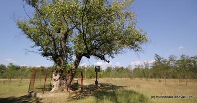Locurile uitate unde românii căutau miracole. Atrăgeau mii de oameni în trecut, datorită unor întâmplări stranii