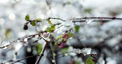 Prognoza meteo pe patru săptămâni: temperaturi sub medie la început de aprilie. Cum va fi vremea de Paște