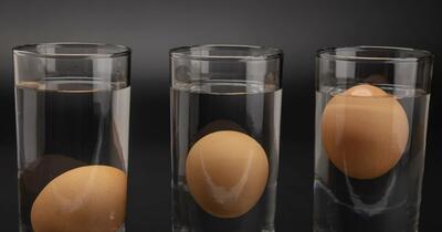 Testul ouălor care îți arată dacă sunt bune de mâncat: cele proaspete au albușul gros și ferm, gălbenușul portocaliu și coaja netedă