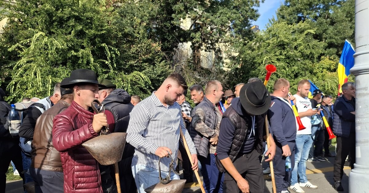 De ce ies românii în stradă: dincolo de furie, rețeaua dictează protestul
