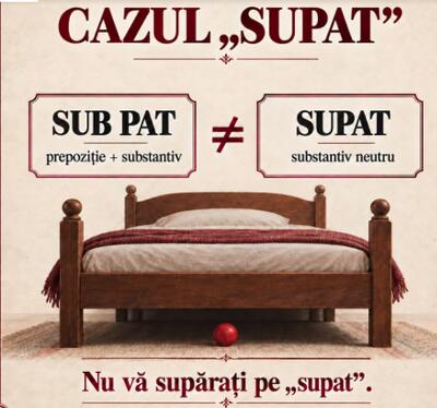 De ce apare „supat” în dicționar: Academia Română tranșează disputa virală