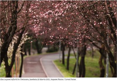Până pe 30 martie, ANM anunță temperaturi diferite față de normalul perioadei, în toată țara