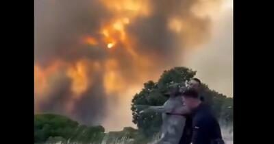 Peste 1.000 de vieți, de la elefanți la crocodili, salvate din infernul incendiilor din Spania