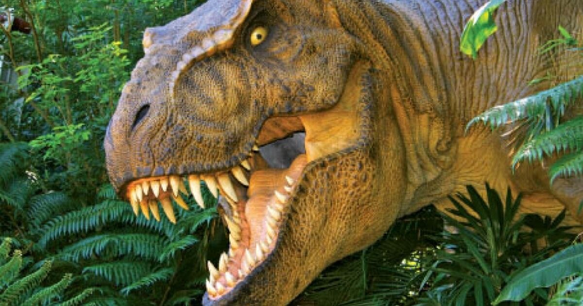 Descoperire uluitoare despre cel mai mare T-Rex găsit vreodată. Ce spun cercetătorii despre vasele de sânge ale dinozaurului