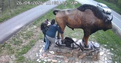 Imaginile din Parcul Vânători-Neamț care au stârnit revoltă: „De unde ați scăpat?”