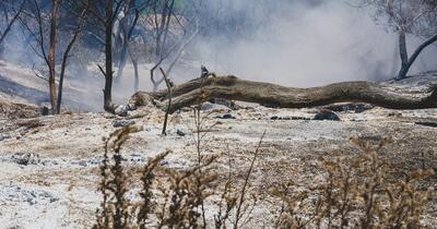 Dezastrul climatic al Europei: 35.000 de morți și pagube de 180 de miliarde
