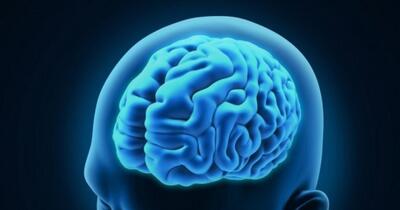 Cum îmbătrânește, de fapt, creierul uman. Anumite zone sunt afectate mai rapid și cresc riscul de demență  | STUDIU