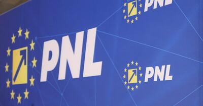 Doi senatori de la „Pace-Întâi România” se alătură PNL