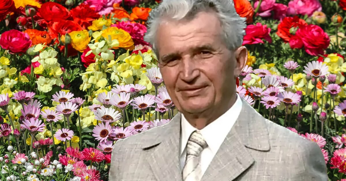 Bizara moarte a lui Nicolae Ceaușescu, în „Scânteia Tineretului”. Documentele CNSAS despre ce s-a întâmplat cu un an înainte de Revoluție