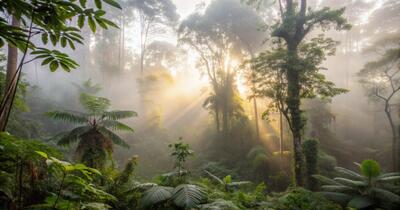 România în Epoca Tropicală/Temperaturile erau și cu 15 grade mai mari. Dovezile unui reputat paleoclimatolog