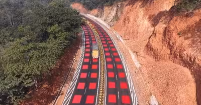Autostrada cu marcaje în carouri roșii care salvează tigrii de la moarte