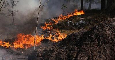 Incendiu la Cernobîl: zona radioactivă este cuprinsă de flăcări, iar minele de război îngreunează intervenția pompierilor. Precizările ANM