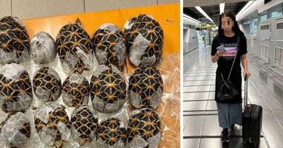 Descoperirea bizară de sub hainele unei tinere pe aeroport: mișcările care i-au alertat pe vameșii thailandezi