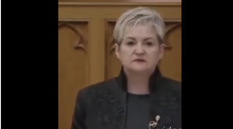 VIDEO Reprezentanta comunității românești din Ungaria a depus jurământul în limba română în Parlamentul Ungariei