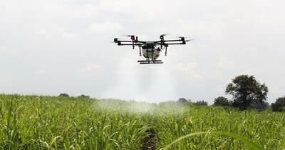 Paradoxul agricol al României: Lider în numărul de ferme, codaș în tehnologia viitorului