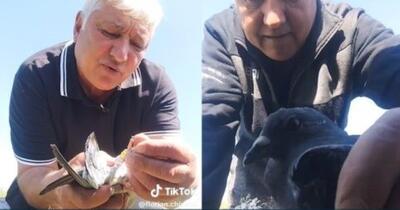 „Ce cruzime, dom’ne? Cum să fie ilegal?” Tiktokerul Nea Florică se apără după ce a postat imagini în care ucide porumbei