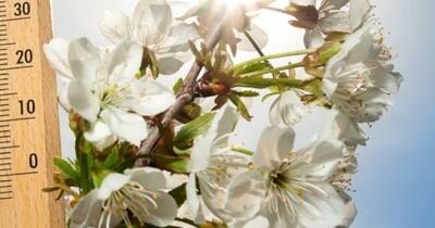 A fost actualizată prognoza pentru Florii și Paște. Cum va fi vremea în următoarele patru săptămâni