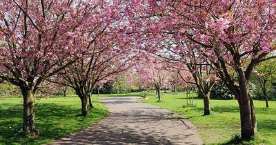 Prognoza meteo pentru vacanța de 1 Mai. Ce temperaturi se vor înregistra 