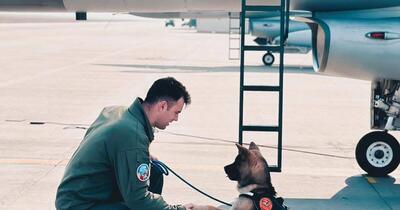 Un căpitan al Forțelor Aeriene Române a murit după ce a sărit într-un bazin pentru a salva un câine