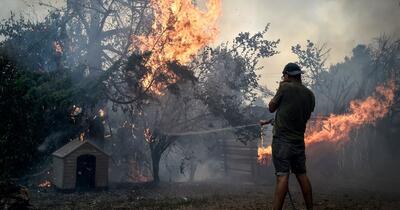 Europa se pregătește pentru 50°C, în timp ce incendii devastatoare mistuie Spania și Franța