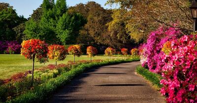Cum va fi vremea în următoarele două săptămâni. Temperaturi mai ridicate decât normalul, în toată țara
