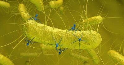 O bacterie obișnuită ascunde un virus necunoscut care ar putea fi legat de apariția cancerului