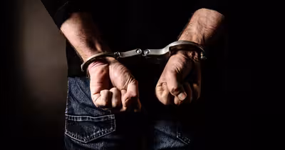 Fermier din județul Brașov, reținut de DNA pentru fraudă cu fonduri europene. A declarat animale doar în documente
