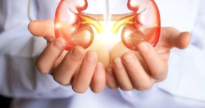 Organul care cedează primul și poate afecta întregul organism fără să dea niciun semn de alarmă: 3 pași simpli pentru a încetini degradarea