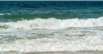O bacterie „devoratoare de carne” se înmulțește rapid în Marea Neagră. Și turiștii de pe plajele din România se pot infecta