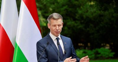 Ungaria anulează restricțiile impuse de Viktor Orban privind adopțiile