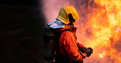 Muniție din Al Doilea Război Mondial explodează în incendiile din Germania, 20.000 de porci uciși