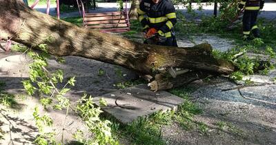 Furtuni violente în România: un mort și mai mulți răniți, bilanț oficial