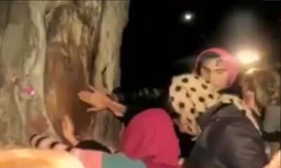 VIDEO Cică am intrat în epoca AI/Episod suprarealist în urma unui desen făcut din plictiseală pe trunchiul unui plop, pe drumul național dintre Slobozia și Buzău
