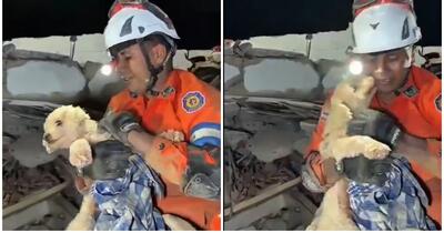 O cățelușă a supraviețuit miraculos seismelor din Venezuela