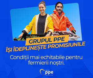 În doar un an, PPE a transformat viziunea în realitate