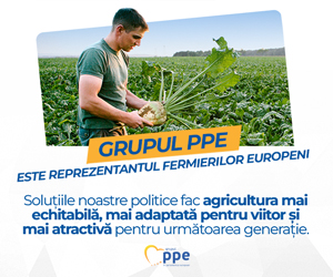 În doar un an, PPE a transformat viziunea în realitate