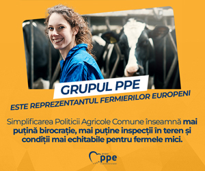 În doar un an, PPE a transformat viziunea în realitate