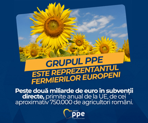 În doar un an, PPE a transformat viziunea în realitate